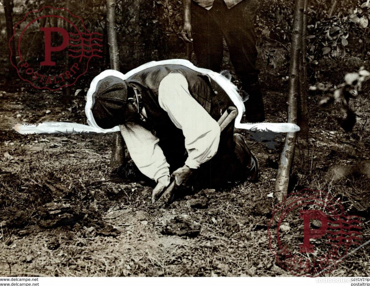 Fotograf&iacute;a antigua: WASP CAMPAIGN Hertfordshire, England ESSEX sawbridgeworth GU&Ecirc;PE WESPE WESPEN 21 * 16 CM Fonds Victo