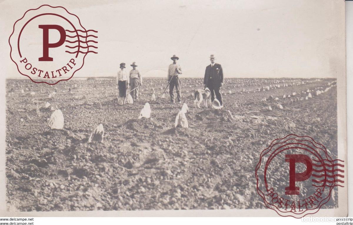Fotograf&iacute;a antigua: FARMERS 14 *9 CM Fonds Victor FORBIN 1864-1947