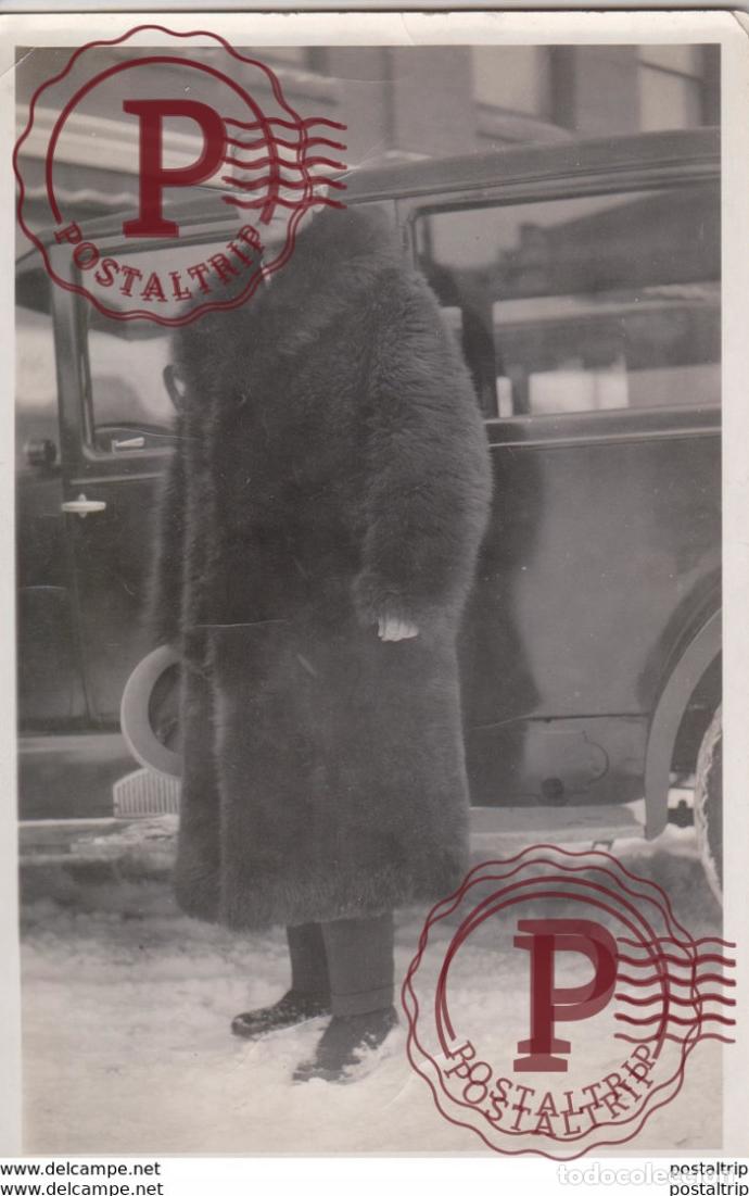 Fotograf&iacute;a antigua: BISON BISONTE FURE 17*11CM Fonds Victor FORBIN 1864-1947