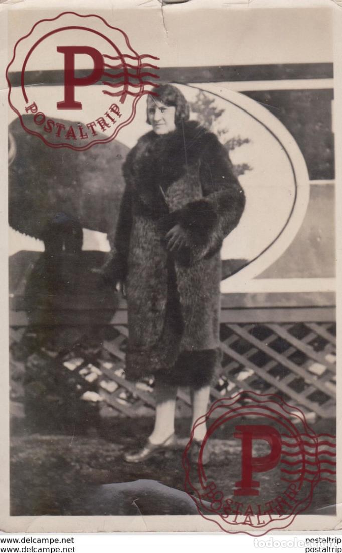 Fotograf&iacute;a antigua: BISON BISONTE FURE 17*11CM Fonds Victor FORBIN 1864-1947