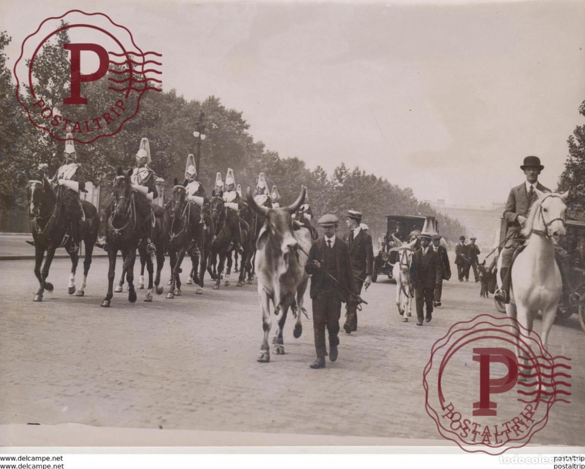Fotografia antiga: ENGLAND LONDON THE MALL CHU CHIN CHEW HIS MAJESTYS THEA ANIMAUX ANIMALS ANIMALES 21*16CM Fonds Vic