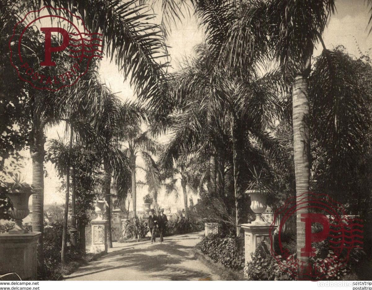 Fotografia antiga: buenos aires PARQUE LEZAMA BARRACAS AL NORTE ARGENTINA 23*17CM Fonds Victor FORBIN 1864-1947