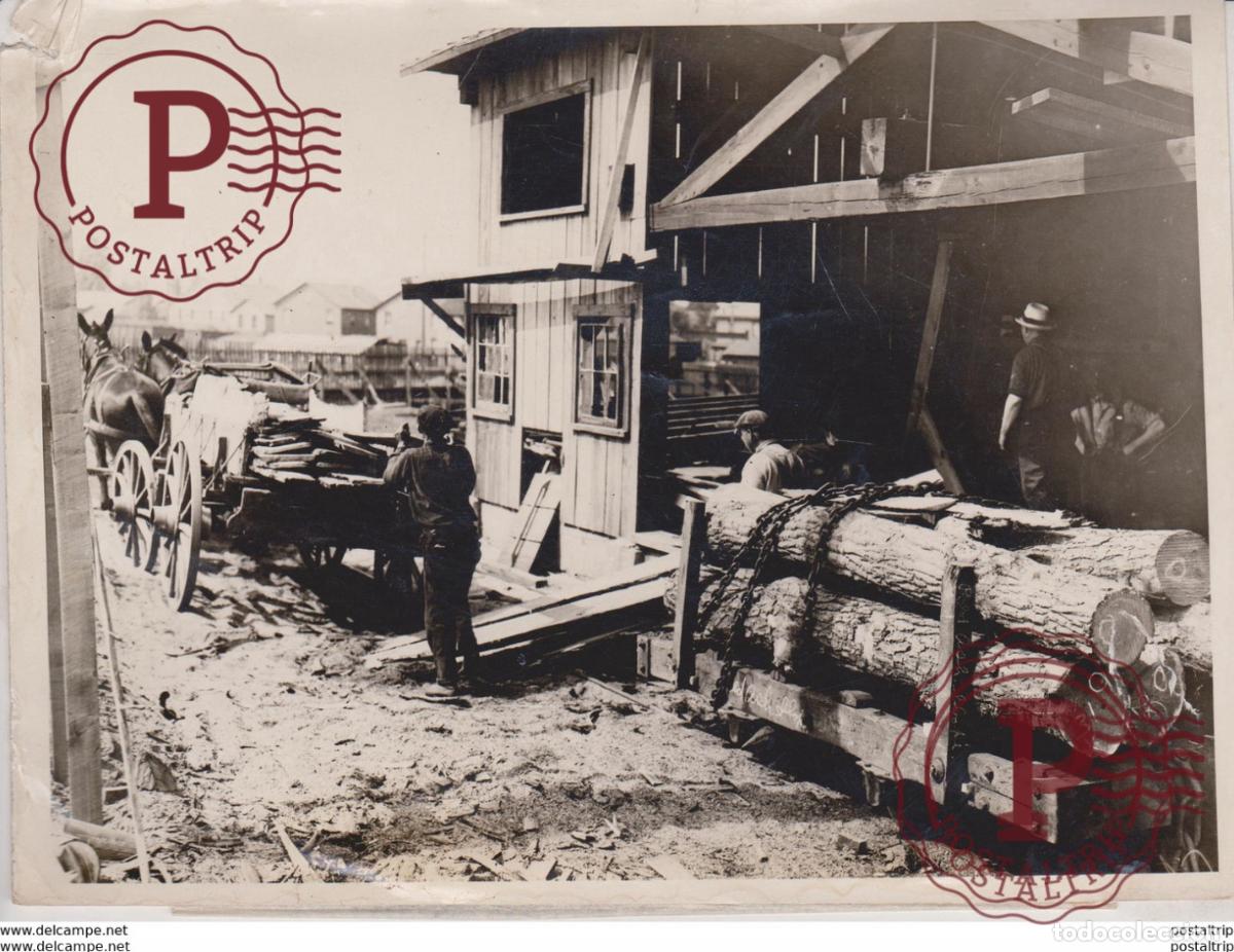 Antique Photography: COAL MINE THRIVING LUMBER GAYLORD COAL MINE KINGSTON PLYMOUTH 20*15CM Fonds Victor FORBIN 1864-194