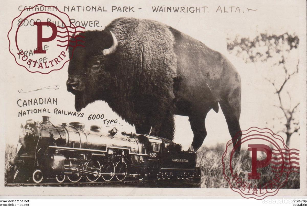 Antique Photography: RPPC CANADIAN NATIONAL PARK WAINWRIGHT ALTA 8000 BULL POWER RAILWAYS 6000 TYPE 14*9CM Fonds Victor