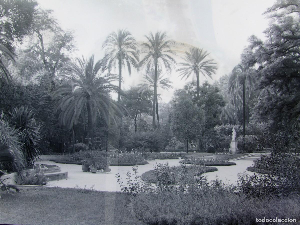 Fotograf&iacute;a antigua: CLICH&Eacute;, NEGATIVO EN CELULOIDE. SEVILLA. 17,5X12,5, CM. A&Ntilde;OS 40 O 50. BUENA CALIDAD