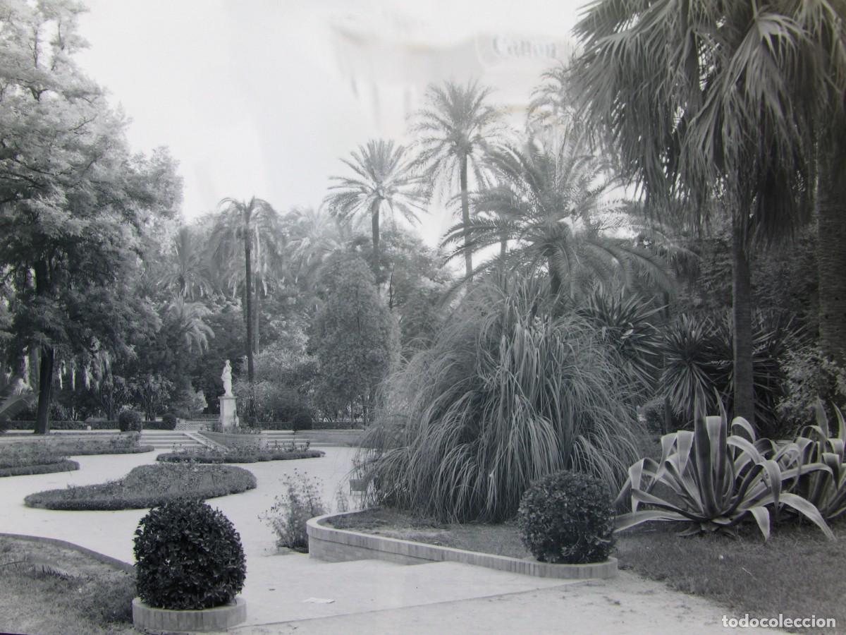 Alte Fotografie: CLICH&Eacute;, NEGATIVO EN CELULOIDE. SEVILLA. 17,5X12,5, CM. A&Ntilde;OS 40 O 50. BUENA CALIDAD