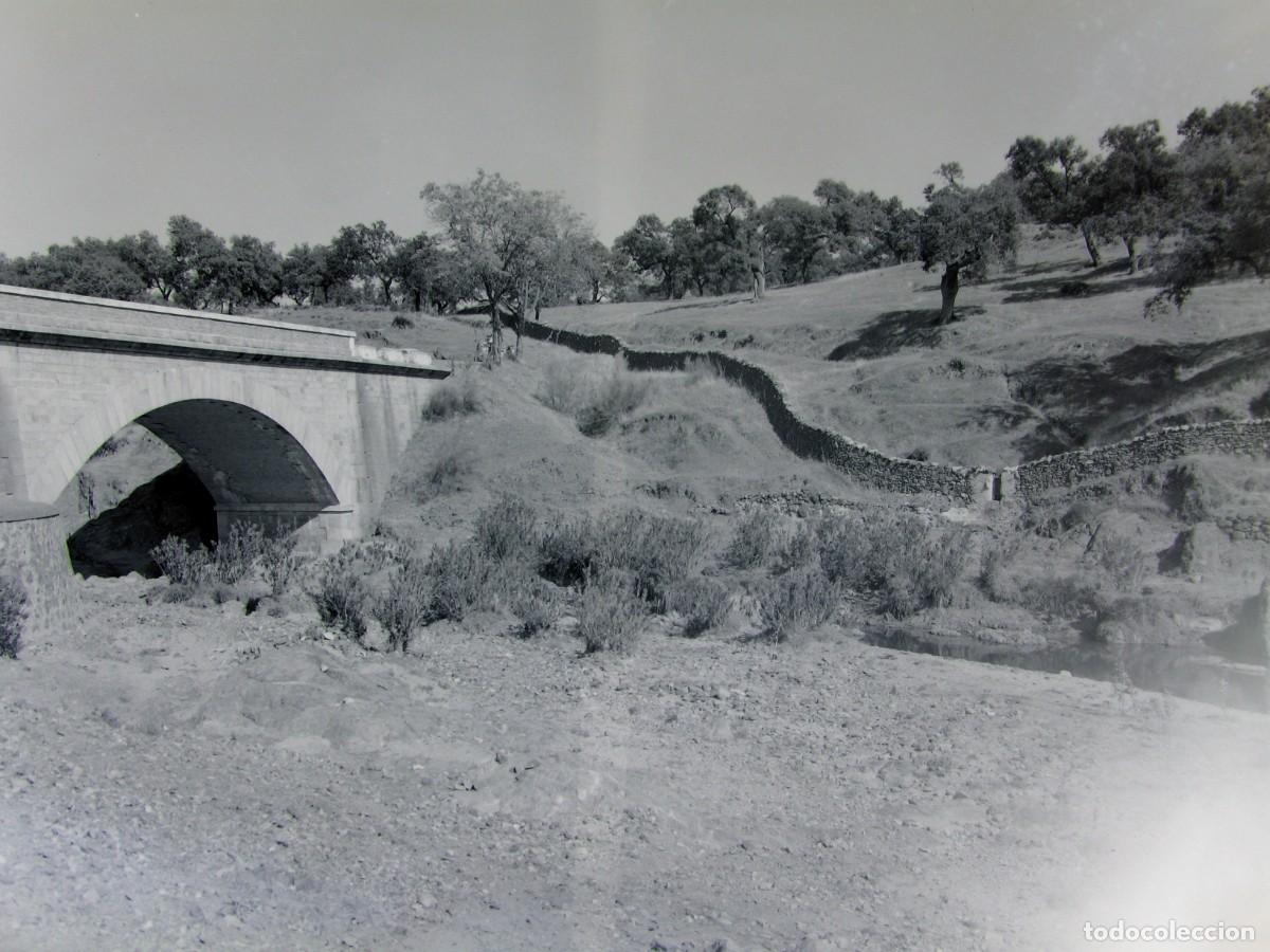 Fotograf&iacute;a antigua: CLICH&Eacute;, NEGATIVO EN CELULOIDE. PUENTE. SIN IDENTIFICAR EL LUGAR. 17,5X12,5, CM. A&Ntilde;OS 40 O 50.
