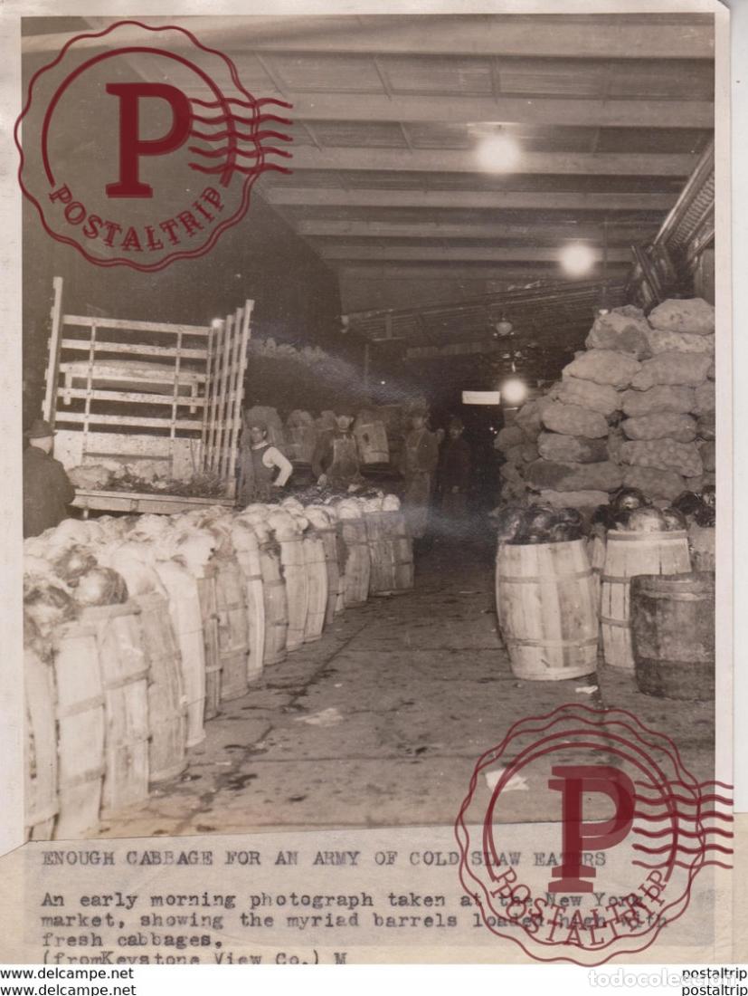 Fotografia antica: CABBAGE ARMY OF COLD SLAW EATERS NEW YORK MARKET MYRIAD FARMERS FARMING BOEREN 20*15CM Fonds Vic