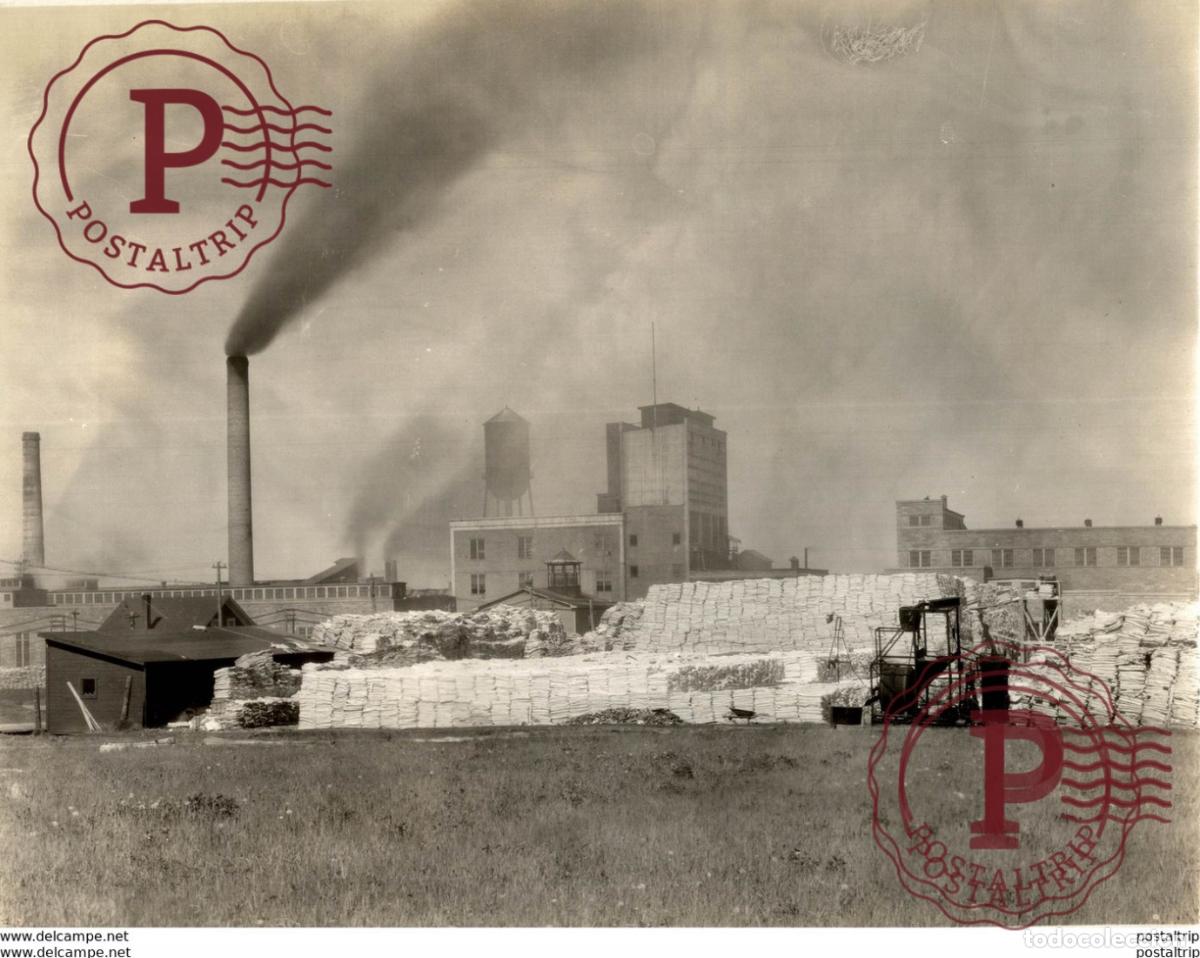Fotograf&iacute;a antigua: PULPERIE A BATHURST New Brunswick Gloucester County Canada 24*19CM Fonds Victor FORBIN 1864-1947