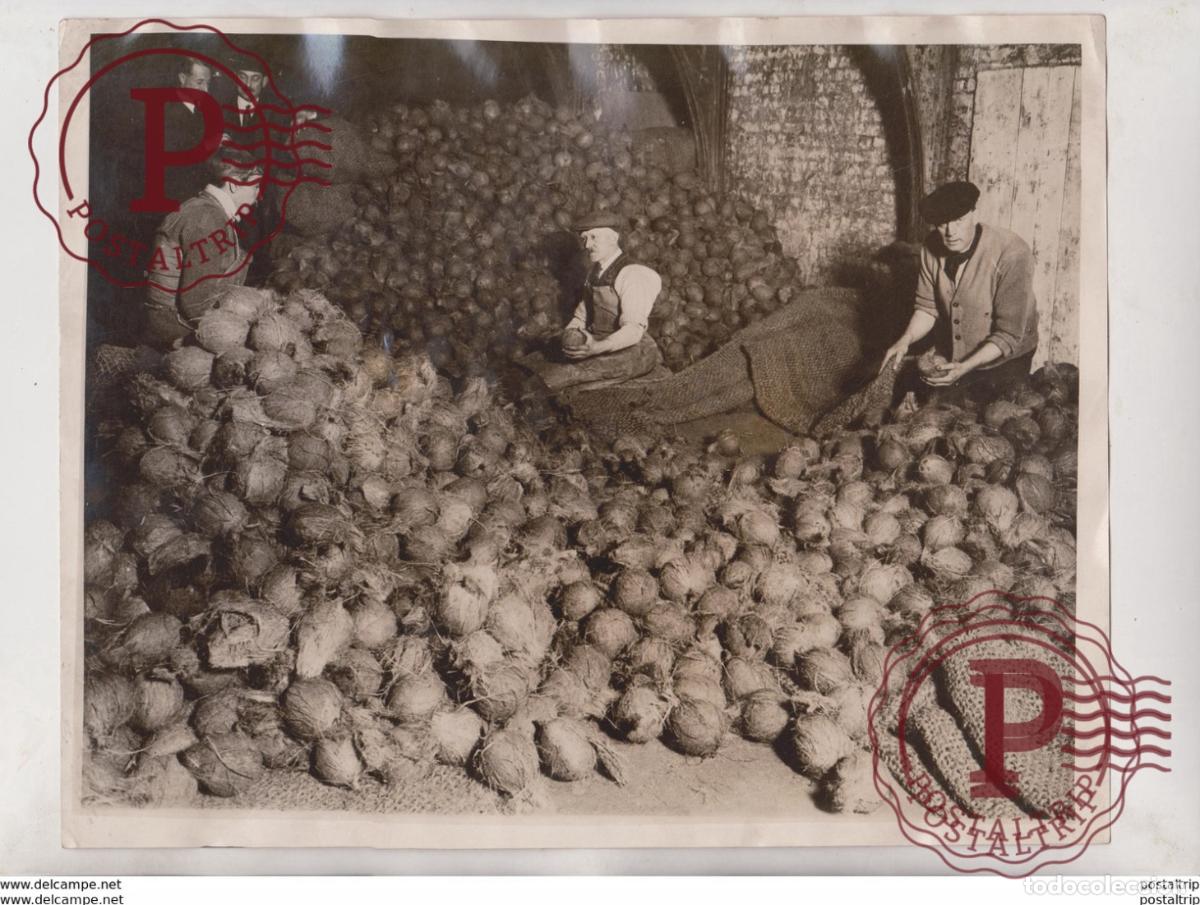 Fotograf&iacute;a antigua: COCONUT CLEARING HOUSE CONTINENTAL WAREHOUSE AT THAMES SIDE LONDON CELEON 25*20CM Fonds Victor F