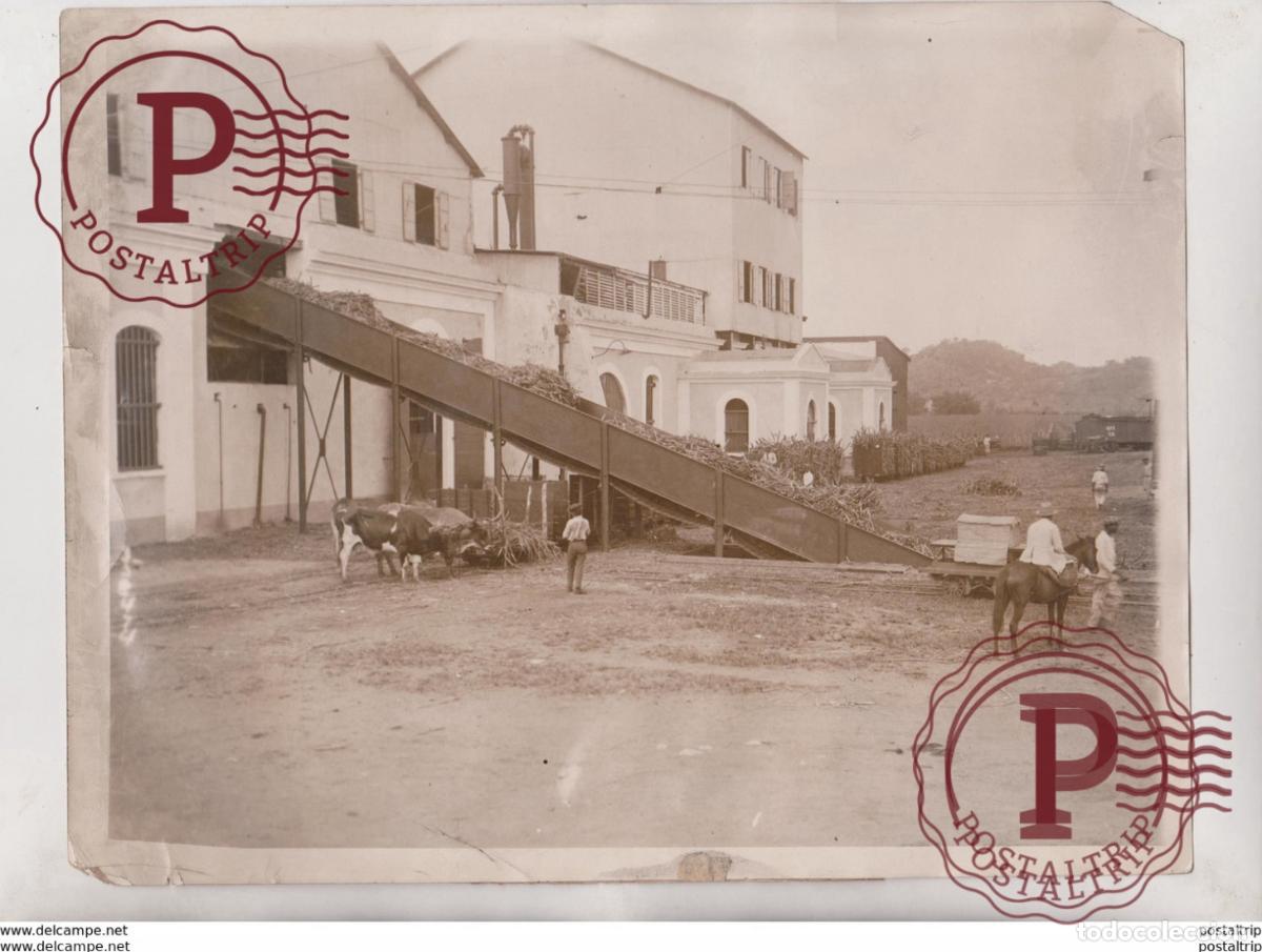 Fotograf&iacute;a antigua: INDUSTRIE DE SUECRE CANNE A SUCRE SUGAR INDUSTRY 25*20CM Fonds Victor FORBIN 1864-1947