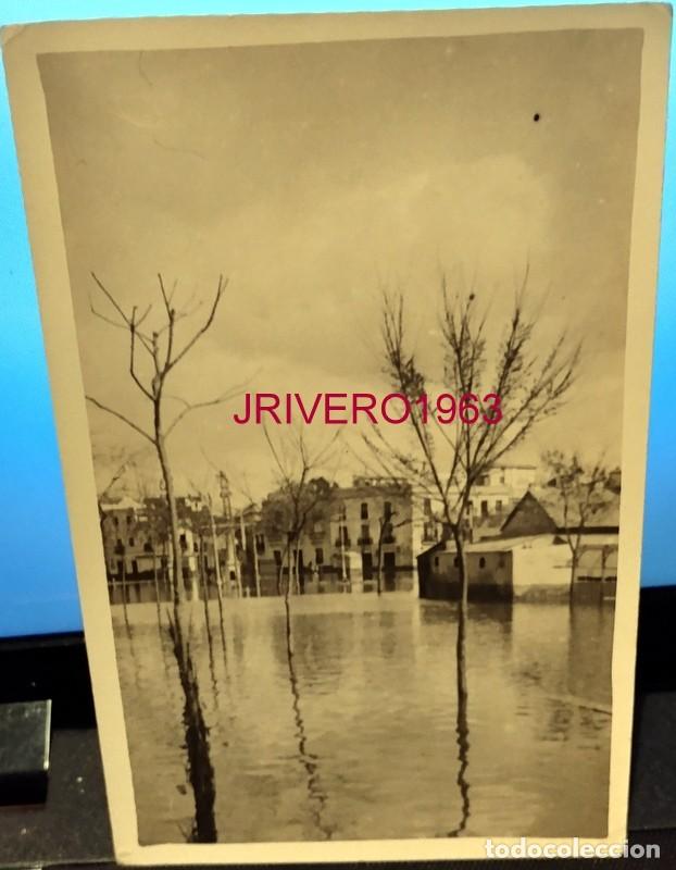 Fotografia antiga: SEVILLA, 1961, INUNDACIONES, VISTA DE SEVILLA, 9X14 CMS