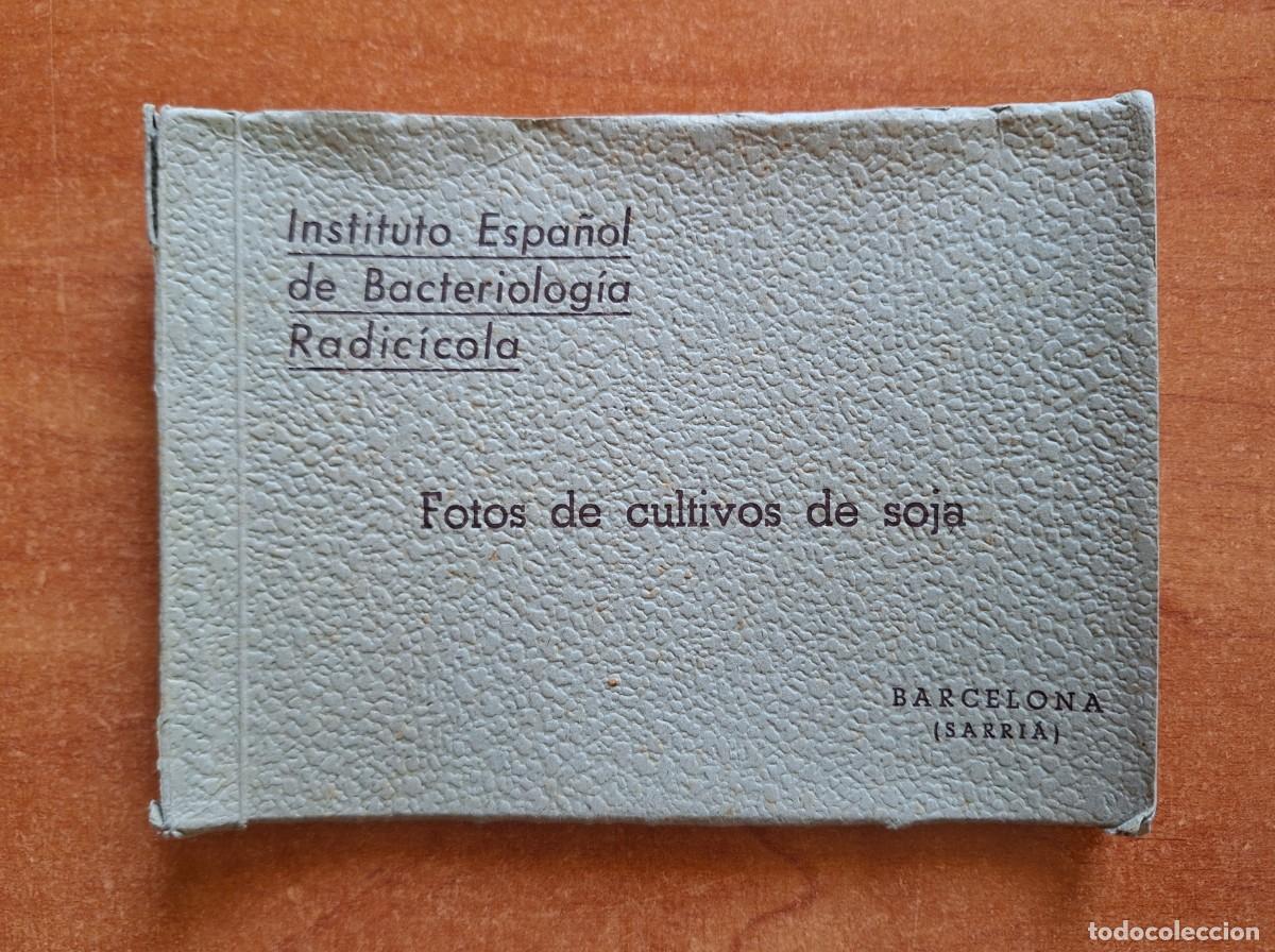 Fotograf&iacute;a antigua: 15 FOTOGRAFIAS DE CULTIVOS DE SOJA