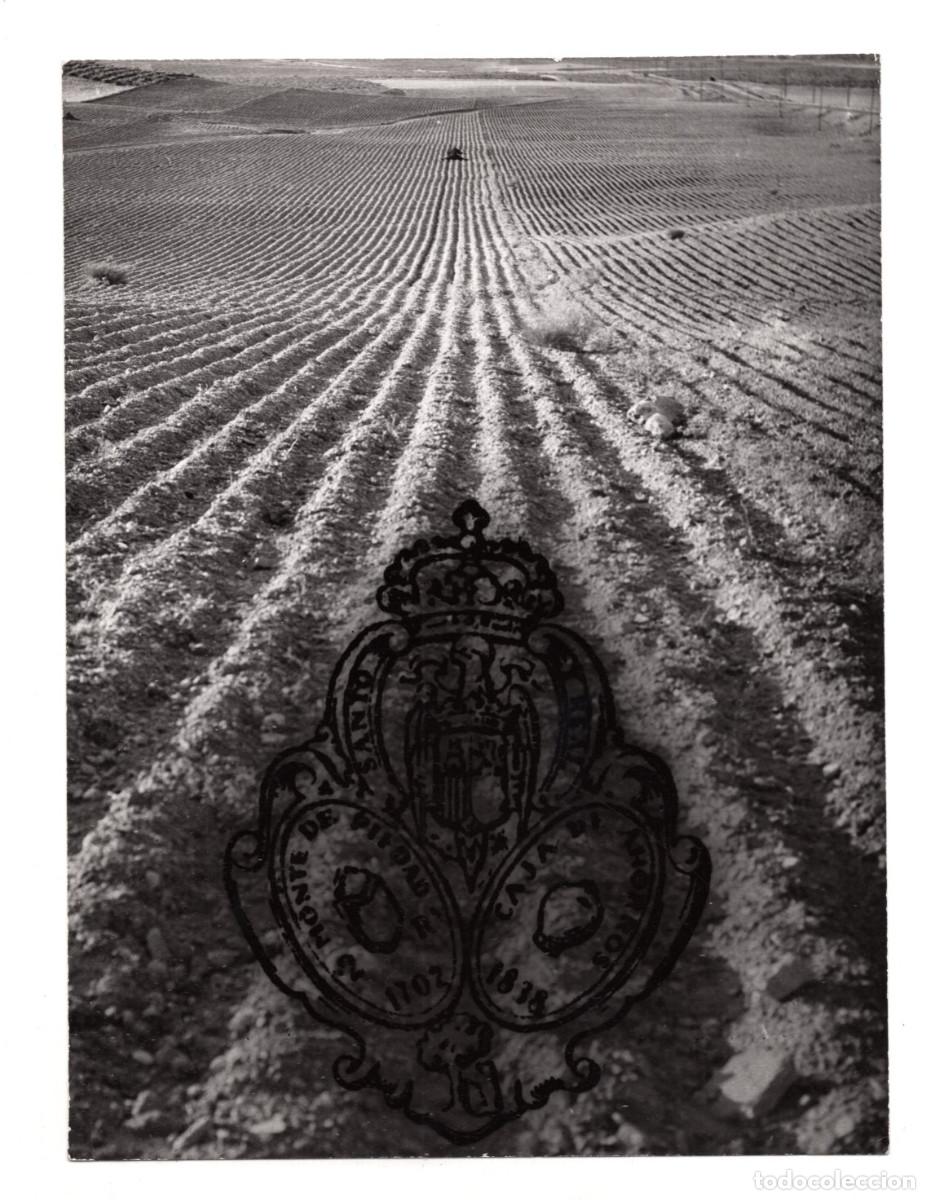 Fotograf&iacute;a antigua: CAMPO ARADO CON UN ESCUDO SUPERPUESTO, MONTE DE PIEDAD O UNA ENTIDAD HIST&Oacute;RICA SIMILAR. 23X17.