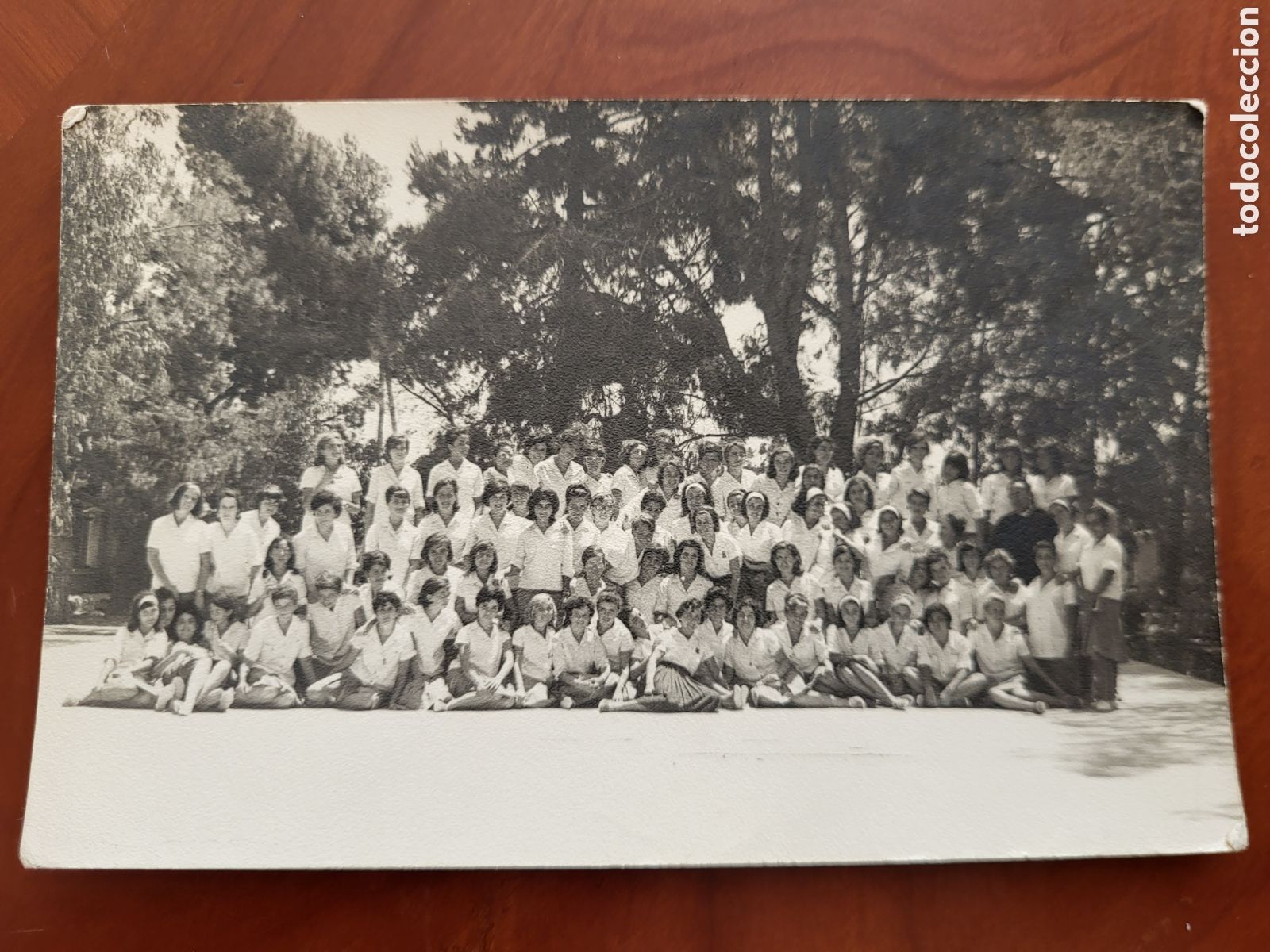 Fotograf&iacute;a antigua: ANTIGUA FOTOGRAFIA CAMPAMENTO JUVENIL SANTA FAZ 1963 ALICANTE ? SECCION FEMENINA ?