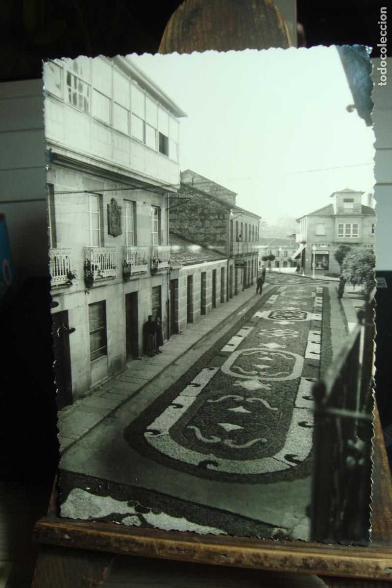 Fotograf&iacute;a antigua: ANTIGUA FOTOGRAFIA ALFOMBRA FLORAL. FOTO F. VIDAL PUENTEAREAS PONTEAREAS PONTEVEDRA A&Ntilde;OS 40?