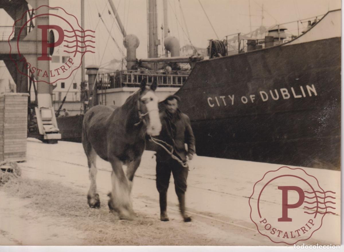 Fotograf&iacute;a antigua: CITY OF DUBLIN VIOLENT INCIDENTS IRLANDE MAQUIGNONS ET PHOTOGRAPHES CHEVAU 18X13CM. FOTOGRAFIA. PHO