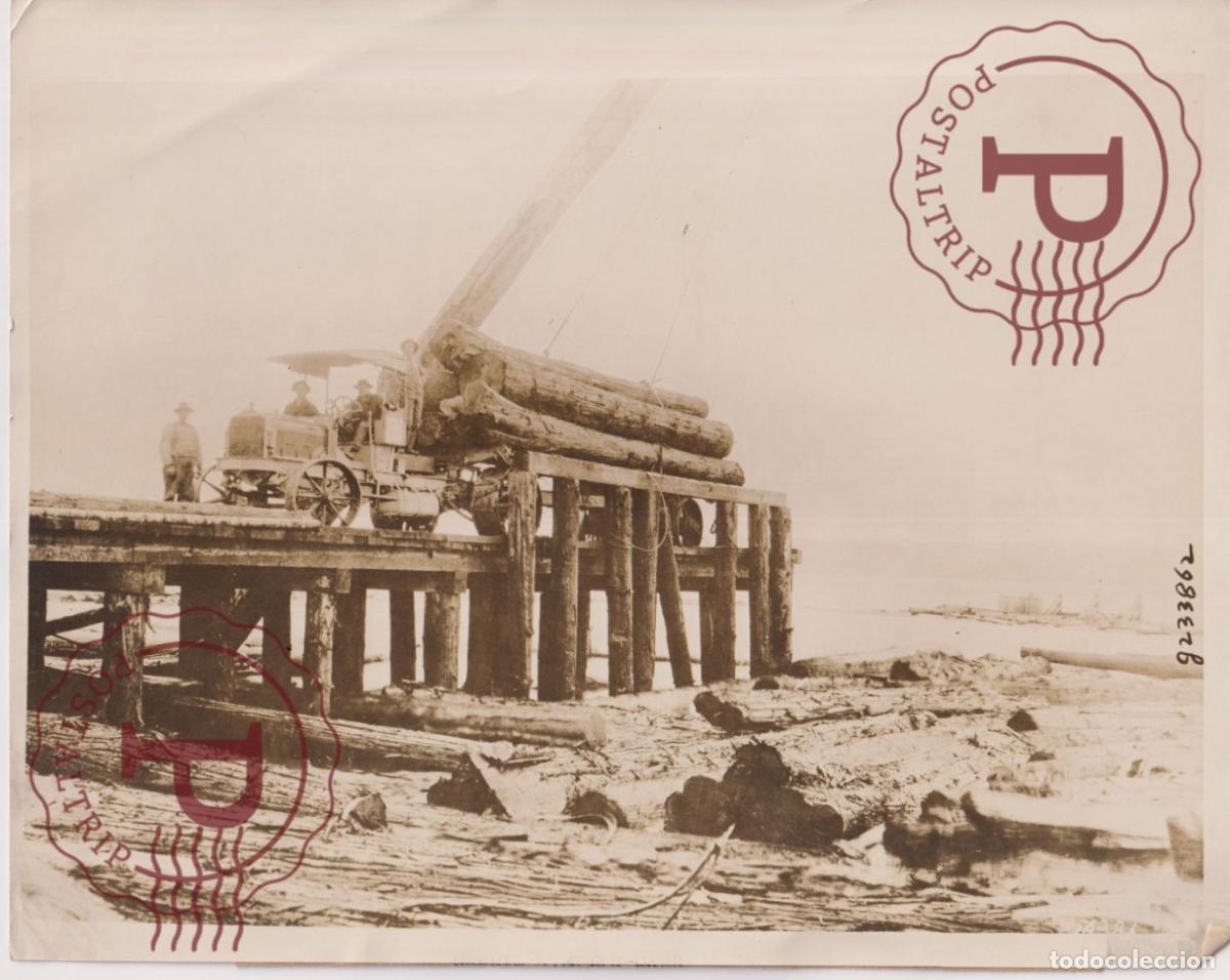 Fotografia antiga: COVERTING GIANT FOREST TREES INTO WARTIME SHIPS. BARCO. SHIP. BATEAU. FOTO. PHOTO +-26X20.5CM