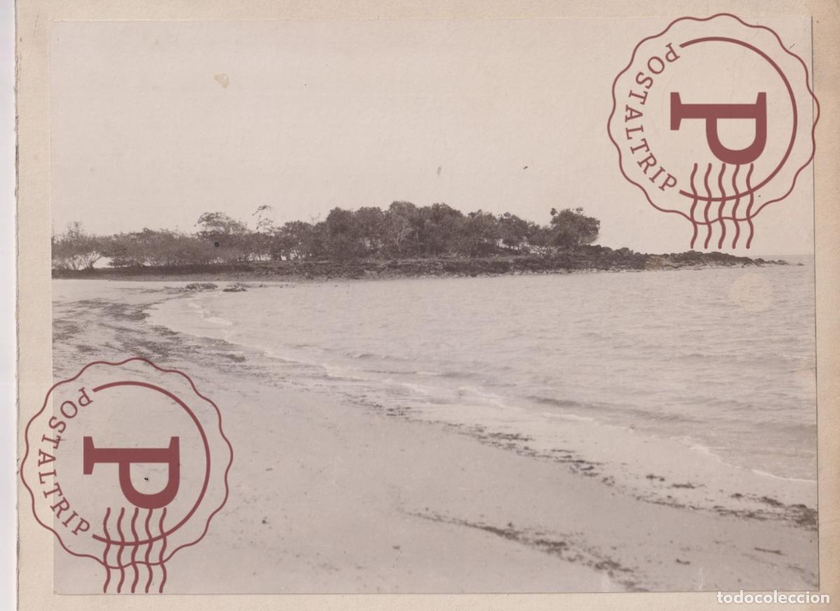 Fotografia antiga: SIN IDENTIFICAR. FOTO. PHOTO ON CUPBOARD. CARTON DURO. +-23.5X18CM