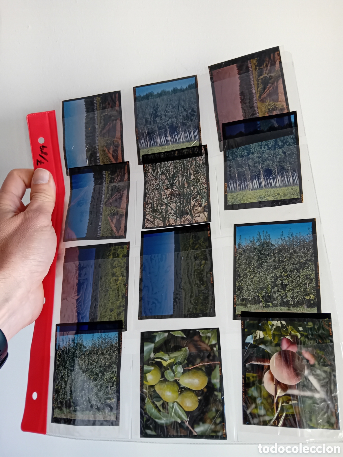 Fotograf&iacute;a antigua: ESPECTACULAR LOTE 250 PLACAS DIAPO MEDIO FORMATO REPORTAJE DE FERTILIZANTES ENFERSA. 1987