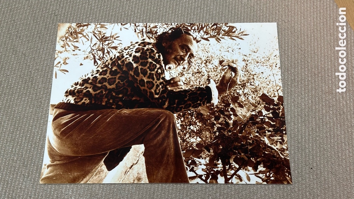 Fotograf&iacute;a antigua: Fotografia Salvador Dali por Enric Sabater 29x38