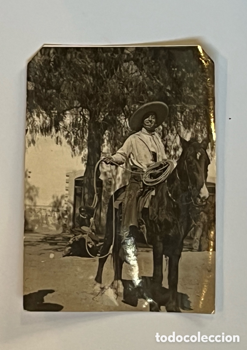 Fotograf&iacute;a antigua: TAUROMAQUIA Toros. JUAN FEITO. Recuerdos de mi estancia en M&eacute;xico (a.1935)