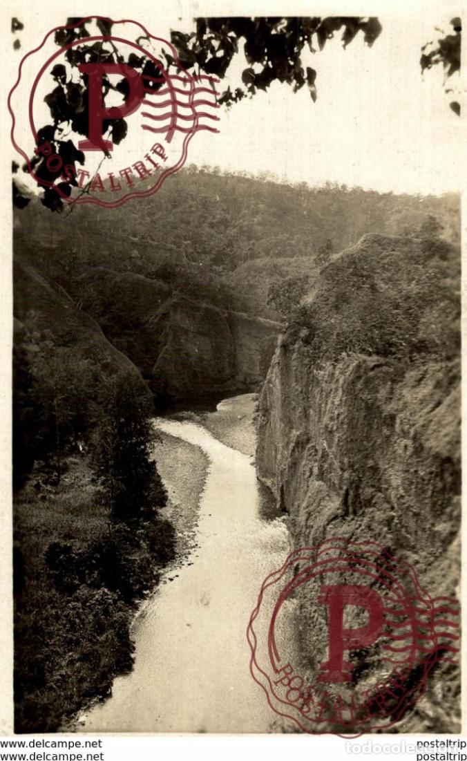 Antique Photography: Papua New Guinea GORGE ON DOMARA RIVER TRIBUTARY MUSA RIVER NORTH EASTERN DIVISION 13*8CM Fonds Vic
