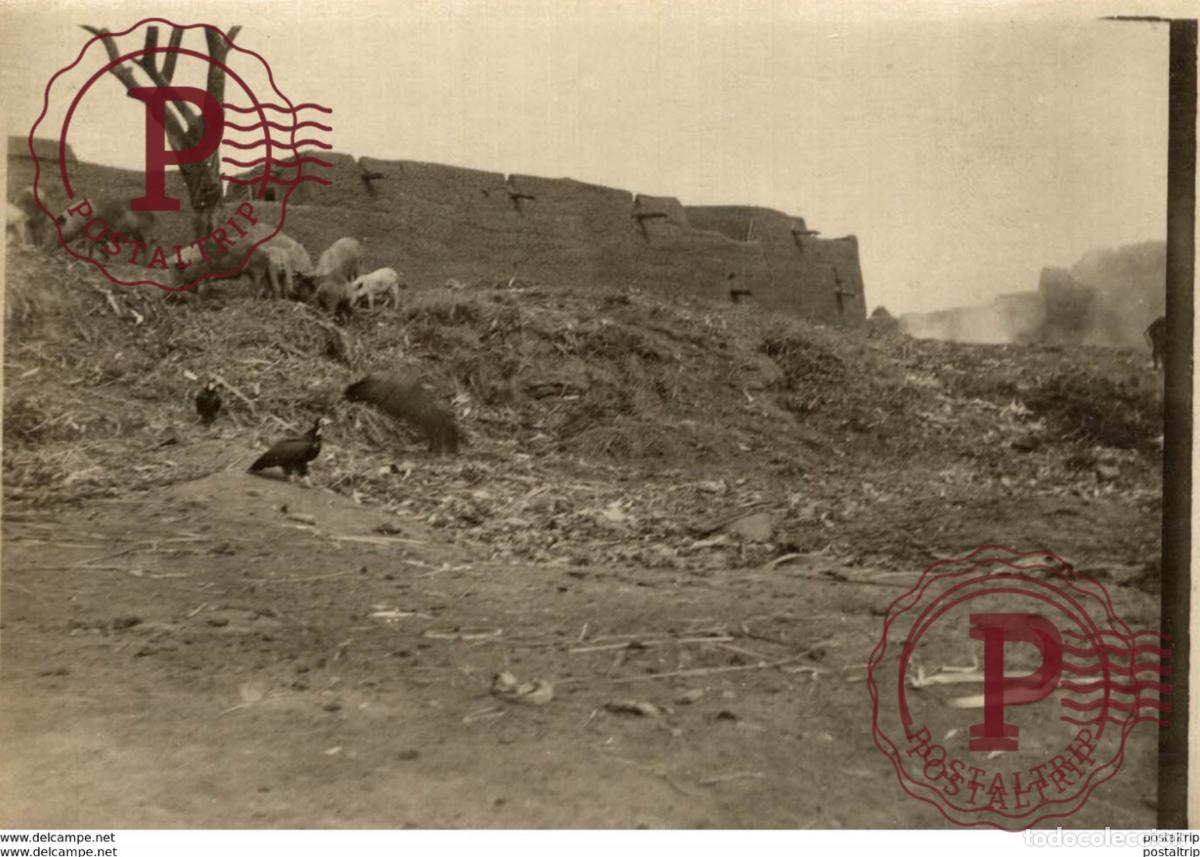 Antique Photography: AFRICA +- 12* 9 CM&nbsp;Fonds Victor FORBIN 1864-1947