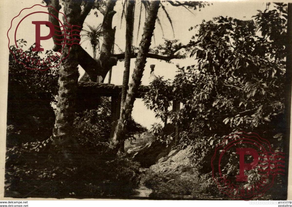 Antique Photography: AFRICA +- 12* 9 CM&nbsp;Fonds Victor FORBIN 1864-1947