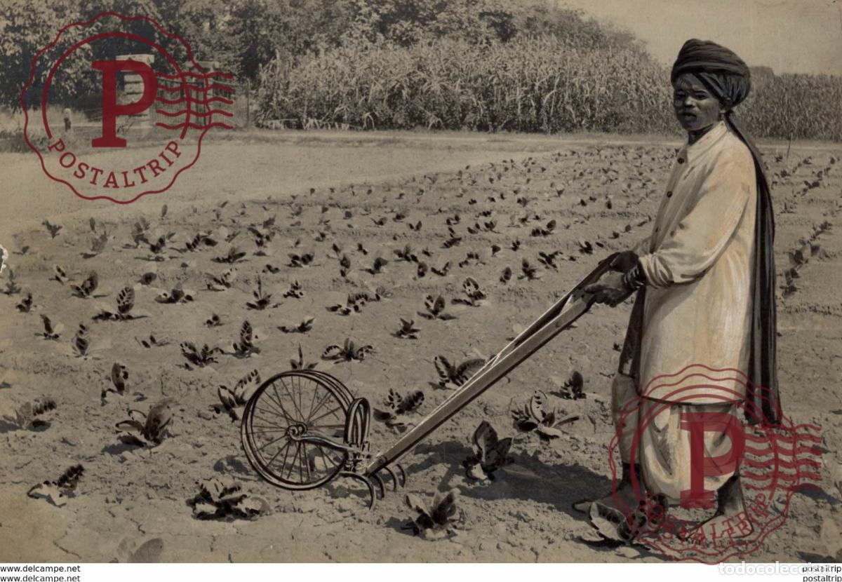 Antique Photography: HAND HOE AT WORK +- 15* 10CM&nbsp;Fonds Victor FORBIN 1864-1947