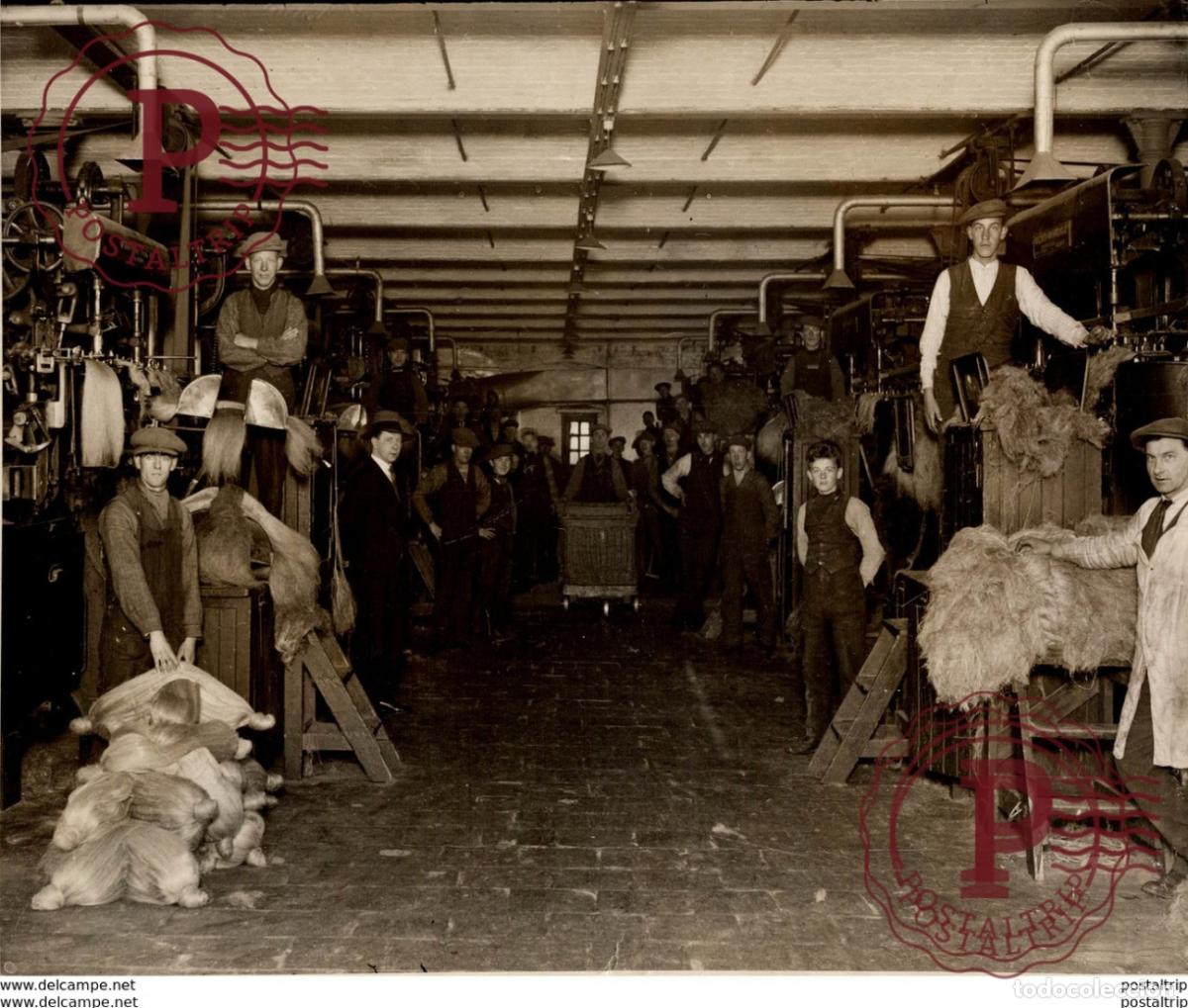 Antique Photography: braidwater spinning mill ballymena HACKLING MACHINE BELFAST IRELAND +- 24*19CM&nbsp;Fonds Victor FORBIN