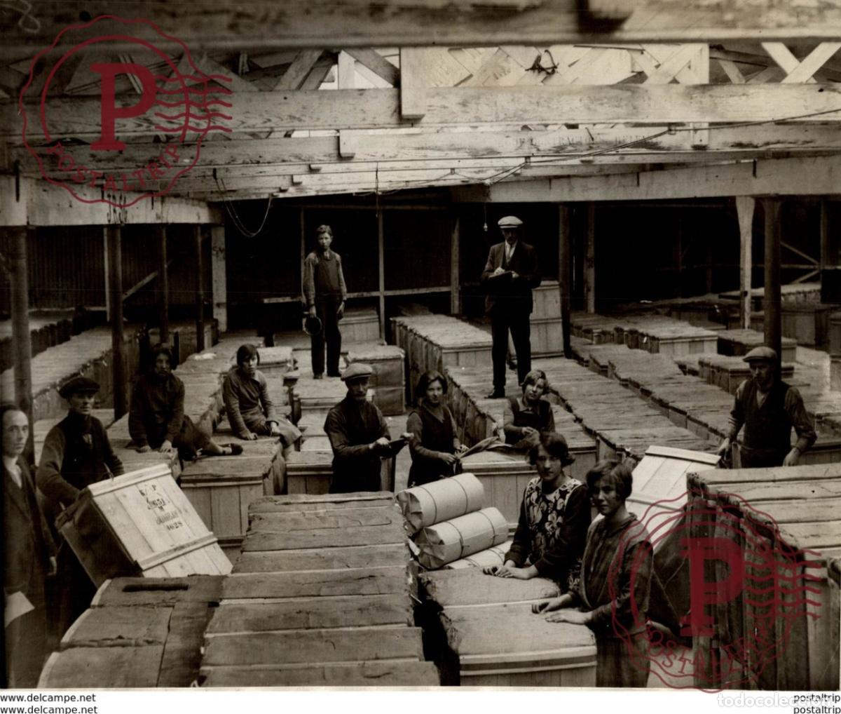 Antique Photography: braidwater spinning mill ballymena BELFAST IRELAND DISPATCH DEPARTMENT +- 24*19CM&nbsp;Fonds Victor FORB