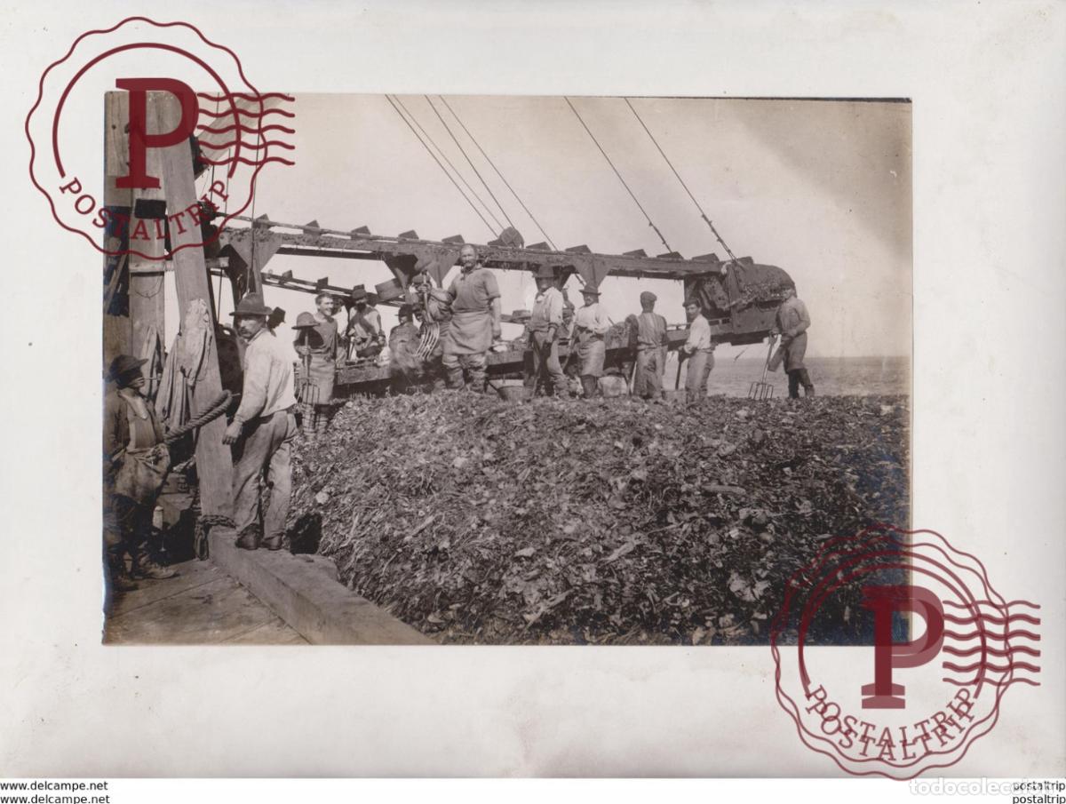 Antique Photography: +- 22*15CM&nbsp;Fonds Victor FORBIN 1864-1947