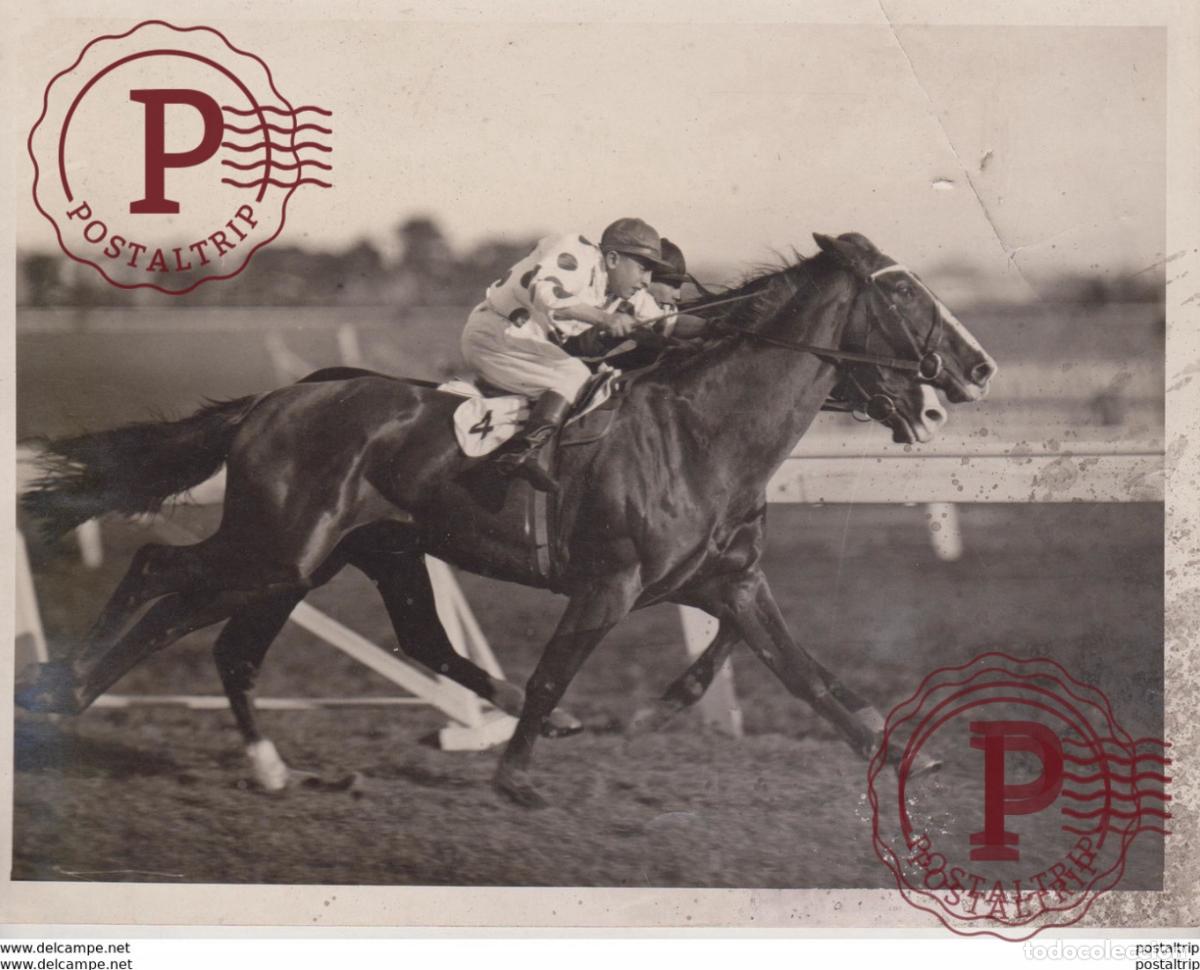 Antique Photography: AMBER ALE AND GOLDWASH RACING NULLA NULLA HANDICAP MOONEE VALLEY VICTORIA +- 21*16CM&nbsp;Fonds Victor