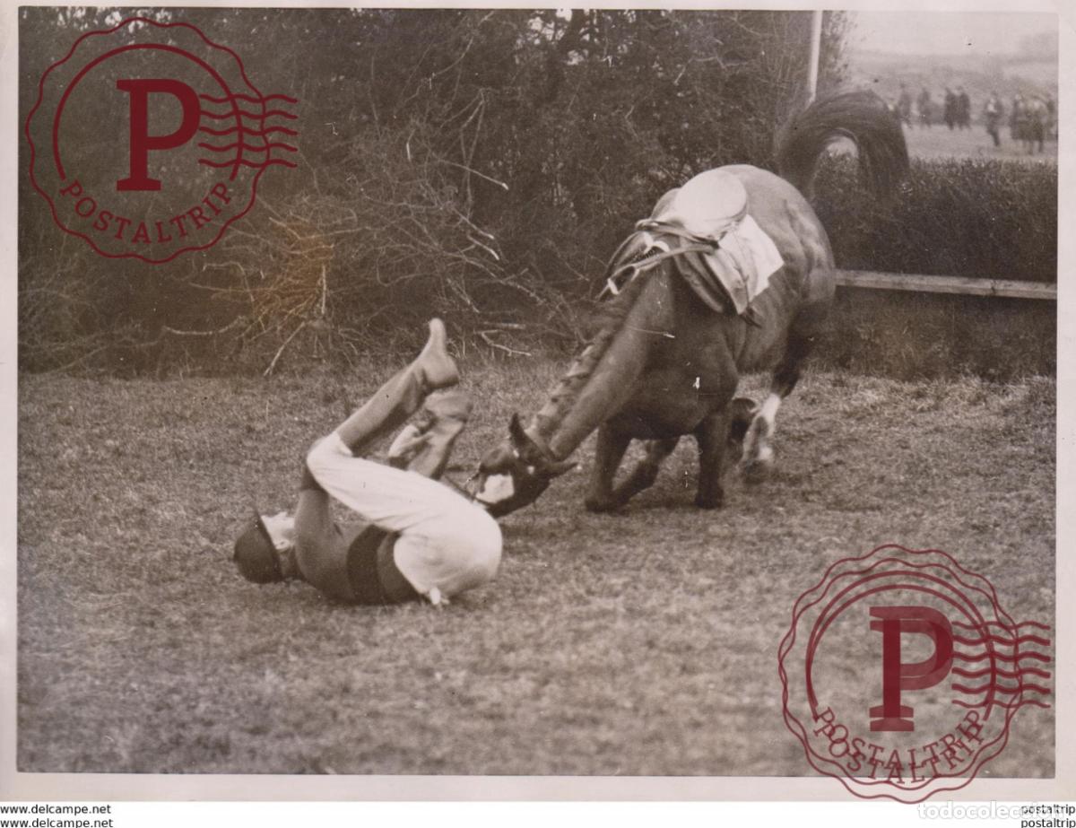 Antique Photography: IRELAND PUNCHESTOWN RACES SIR ERNEST GOFF SOUTHERLY WIND CHEVAL HORSE +- 20*15CM&nbsp;Fonds Victor FORBI