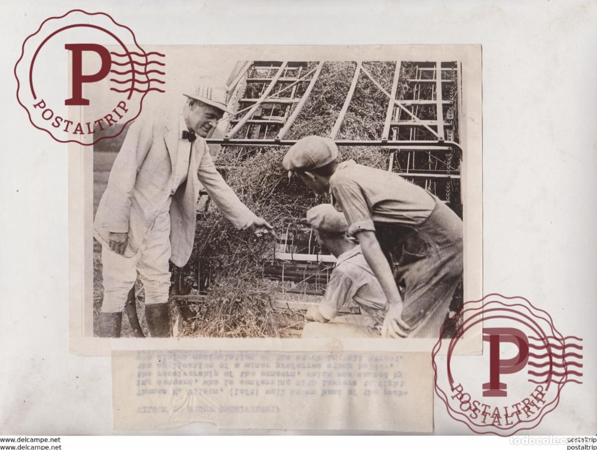 Antique Photography: THOMAS E WILSON TO FIGHT RECEIVERSHIP WALL STREET +- 20*15CM Fonds Victor FORBIN 1864-1947