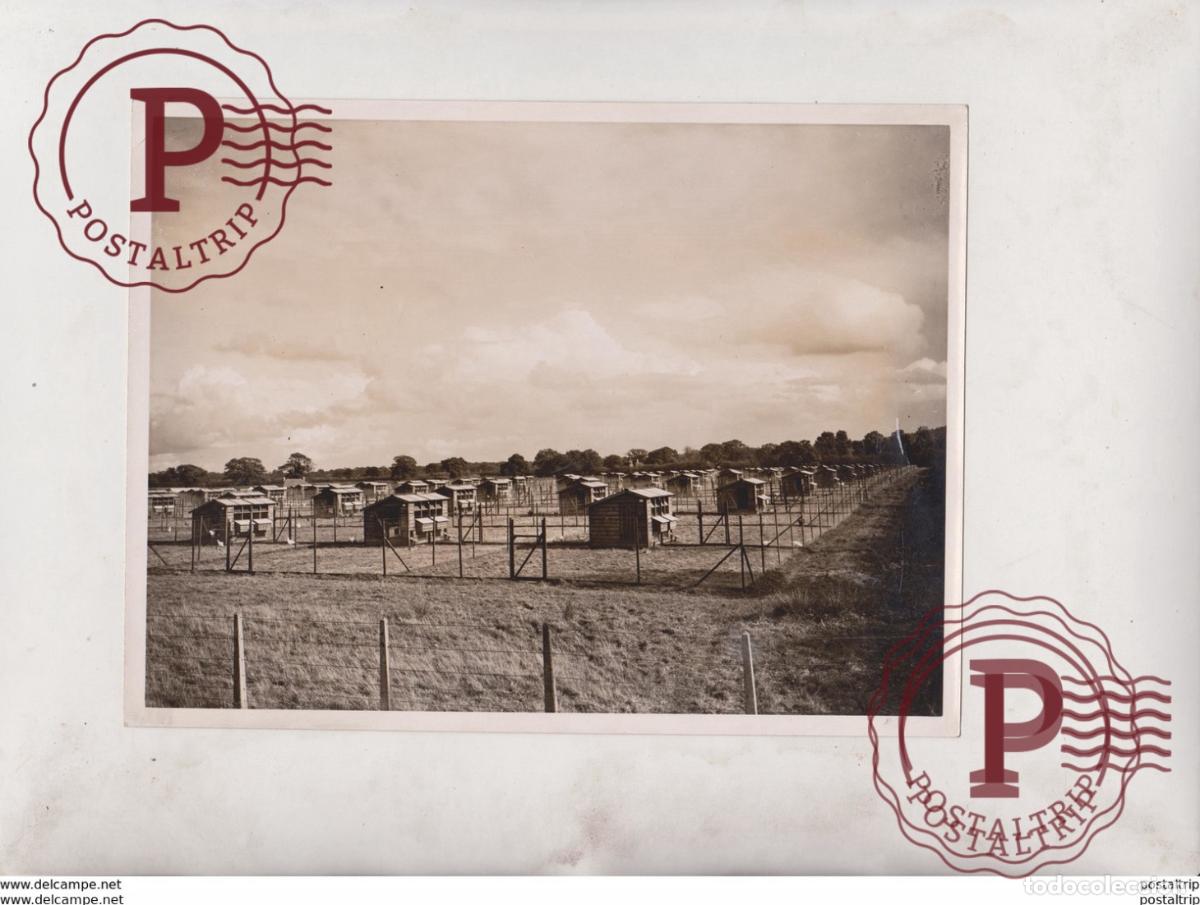Antique Photography: HOMES FOR CHICKENS AGRICULTURE +- 20*15CM Fonds Victor FORBIN 1864-1947