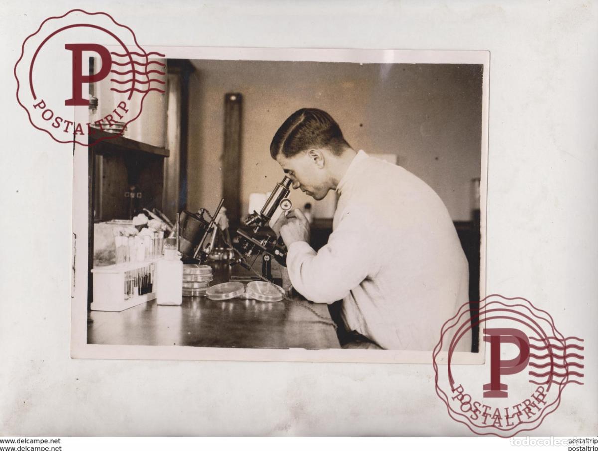 Antique Photography: SCIENCE NATIONAL INSTITUTE FOR RESEARCH DAIRYING SHEINFIELD MANOR +- 20*15CM Fonds Victor FORBIN