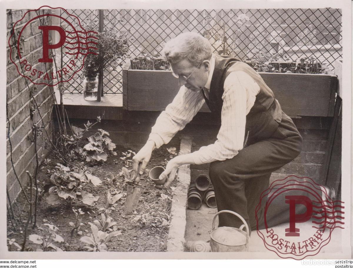 Fotografia antiga: LONDON ENGLAND ROOF GARDENS CONTRASTS +- 21*15CM Fonds Victor FORBIN 1864-1947