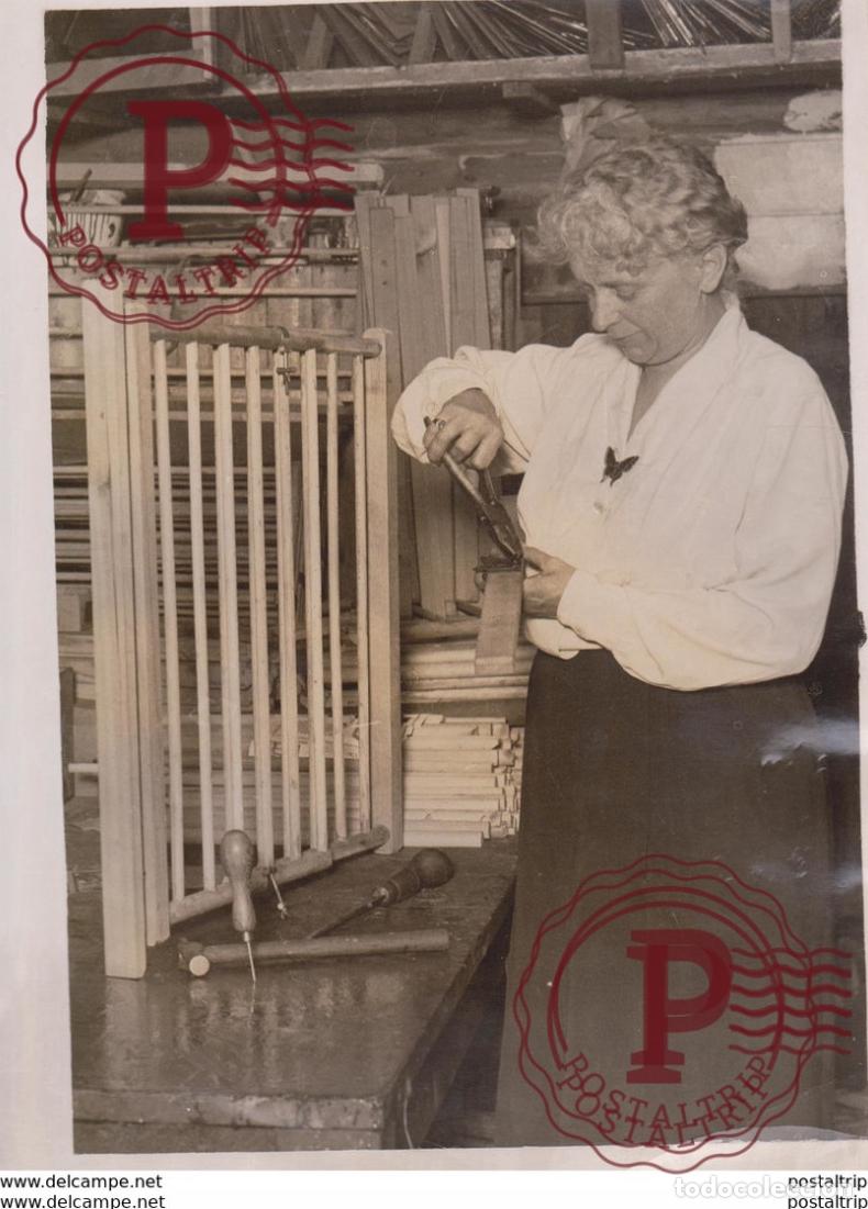 Antique Photography: INVENTION FOR NURSERY PORTABLE TELESCOPIC GATE BUCKS 20*15CM Fonds Victor FORBIN 1864-1947