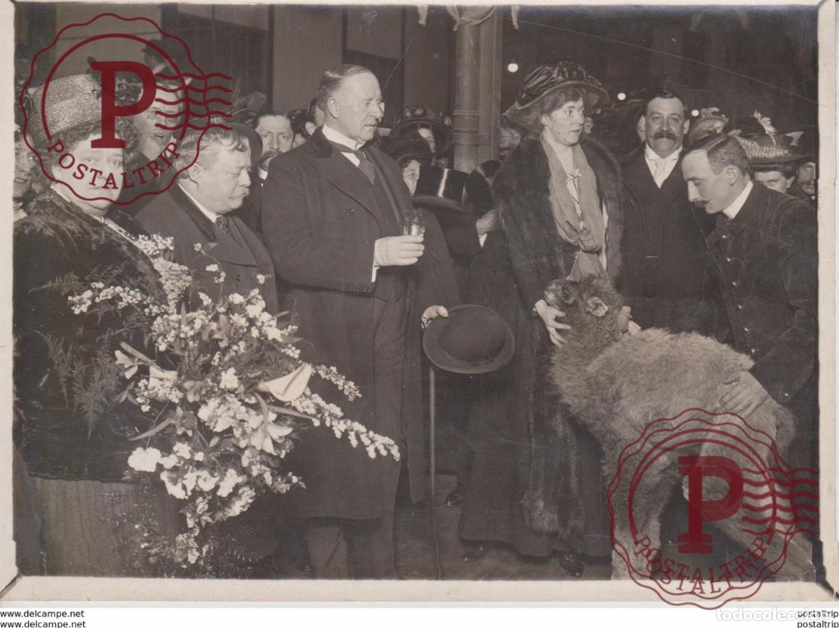 Fotografia antiga: THE BABY CAMEL CRYSTAL PALACE CHRISTENED ANIMAUX ANIMALS ANIMALES 16*12 CM Fonds Victor FORBIN 1