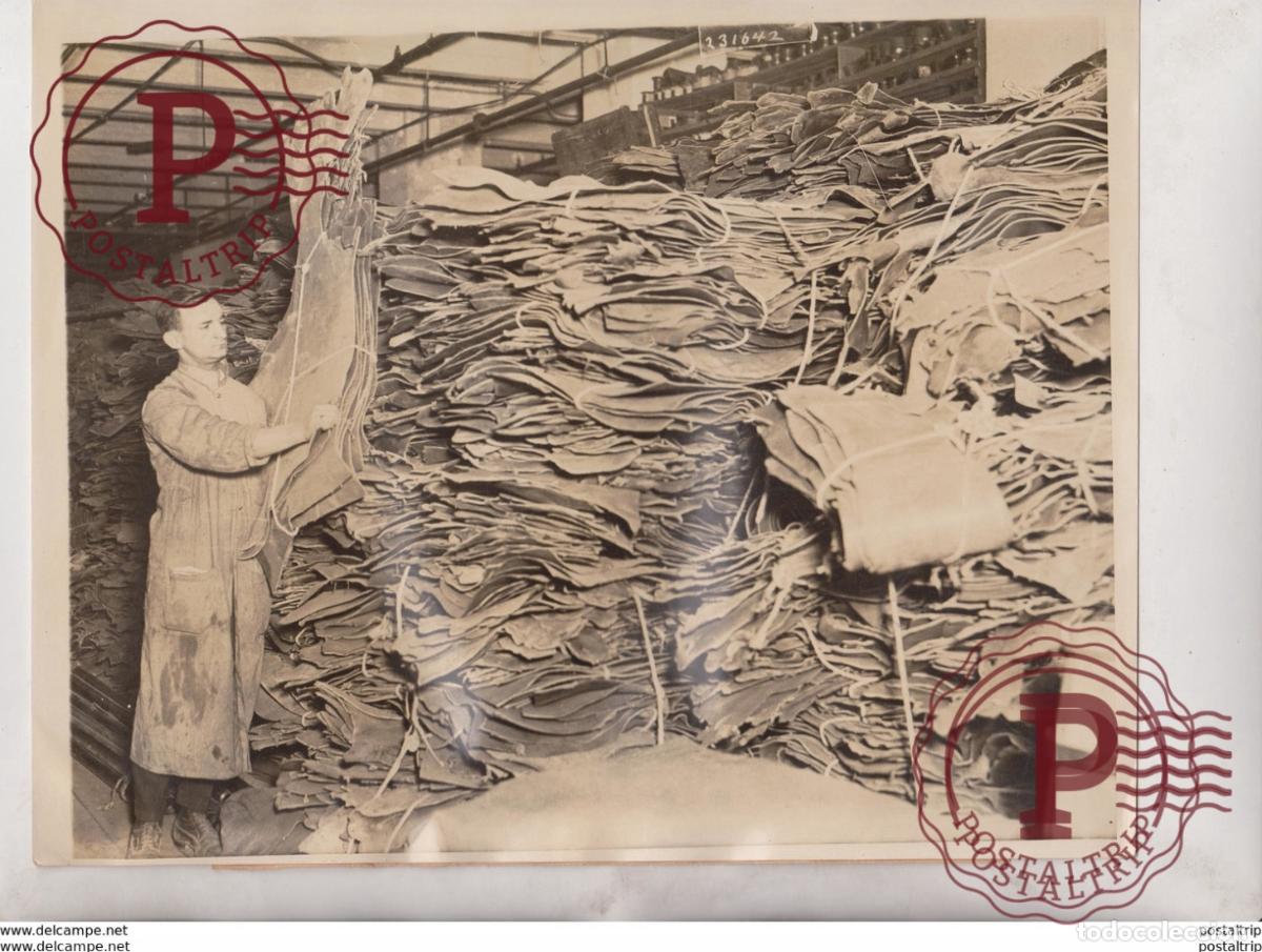 Fotografia antiga: USA SHOE FACTORY 1917 WWI FABRIQUE CHAUSSURE SHOEMAKER Schuhmacher ZAPATERO 25*20CM Fonds Victor FO