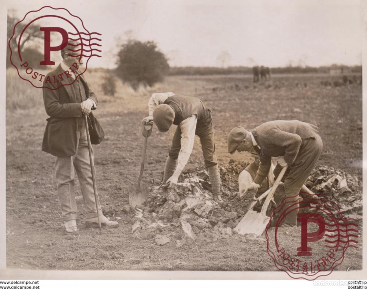 Fotografia antiga: COAL FIELD IN BUCKINGHAMSHIRE? MINING INDUSTRY BUCKINGHAM GREAT HORWOOD PLOUGHMAN 20*15CM Fonds Vic