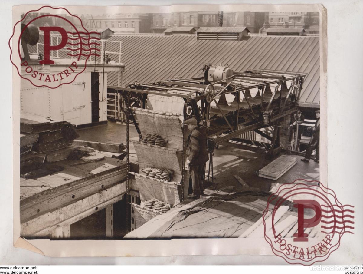Fotografia antiga: LOADING SHIP WITH BANANAS STEAMSHIP JAMAICA PRODUCER LONDON DOCKS 25*20CM Fonds Victor FORBIN 1864-