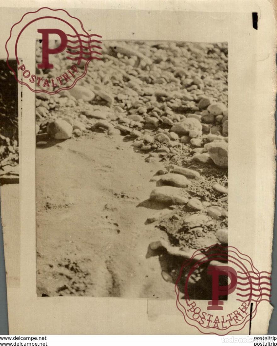 Fotograf&iacute;a antigua: OURS BEARS OSOS BEREN 15*11CM Fonds Victor FORBIN 1864-1947