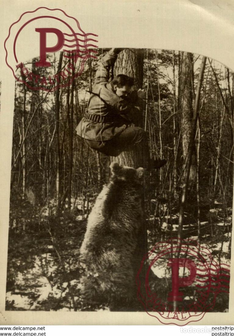 Fotograf&iacute;a antigua: OURS BEARS OSOS BEREN 18*12CM Fonds Victor FORBIN 1864-1947