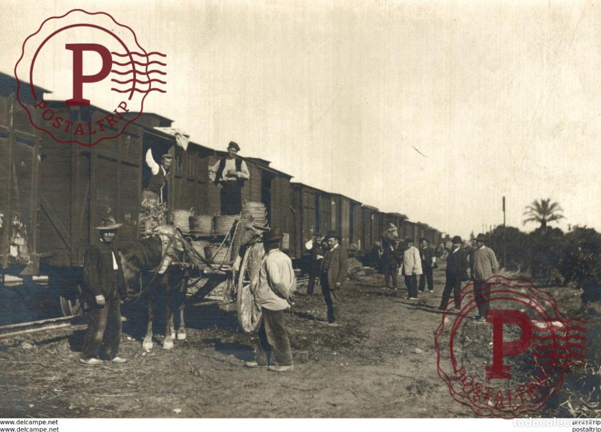 Fotograf&iacute;a antigua: TRANSPORT OF ORANGES 17*12CM Fonds Victor FORBIN 1864-1947