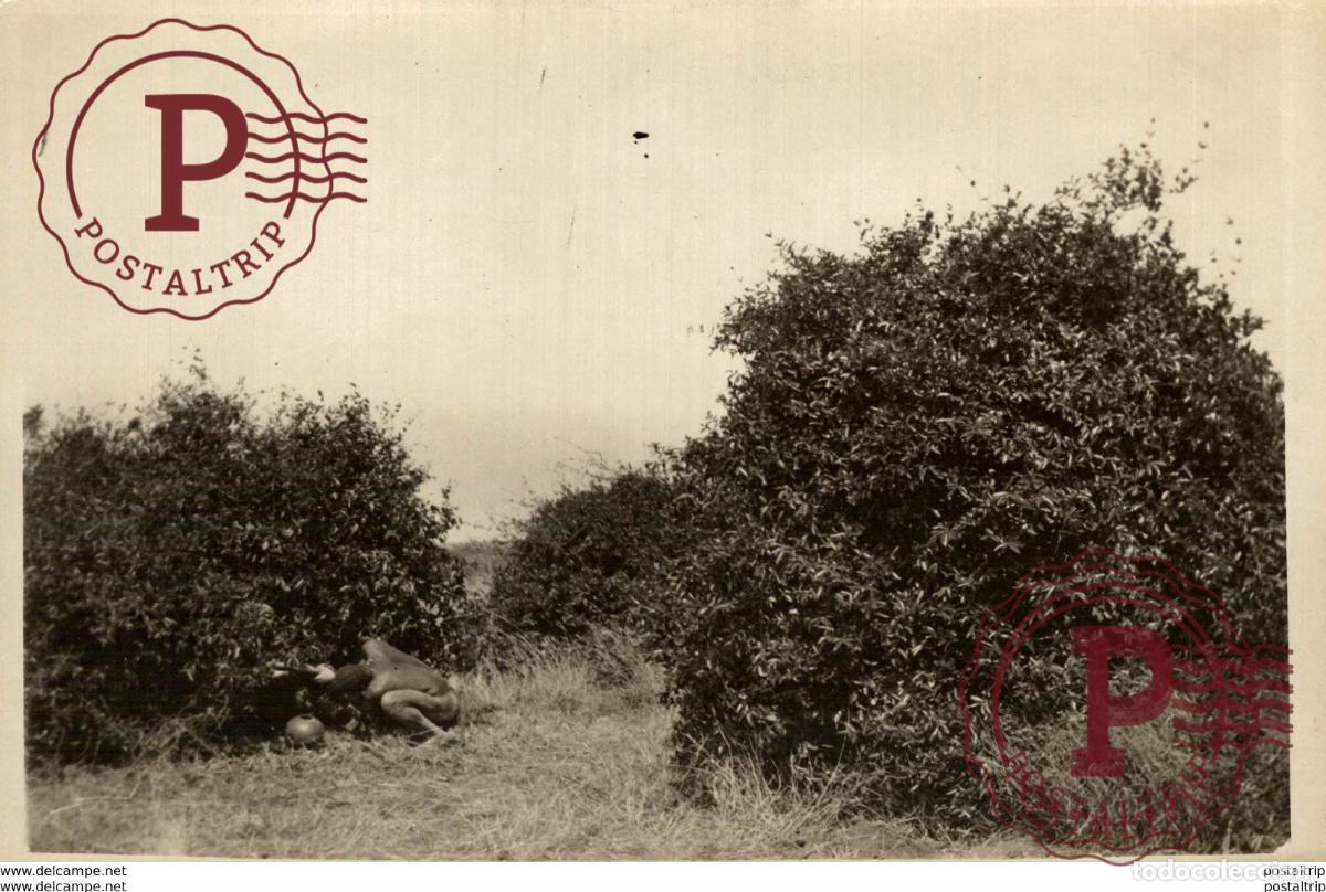 Fotograf&iacute;a antigua: AFRICA AFRIQUE 18*12CM Fonds Victor FORBIN 1864-1947