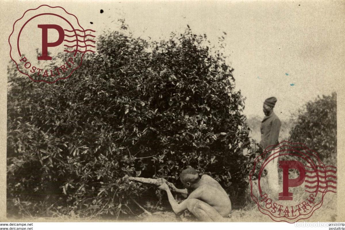 Fotograf&iacute;a antigua: AFRICA AFRIQUE 18*12CM Fonds Victor FORBIN 1864-1947