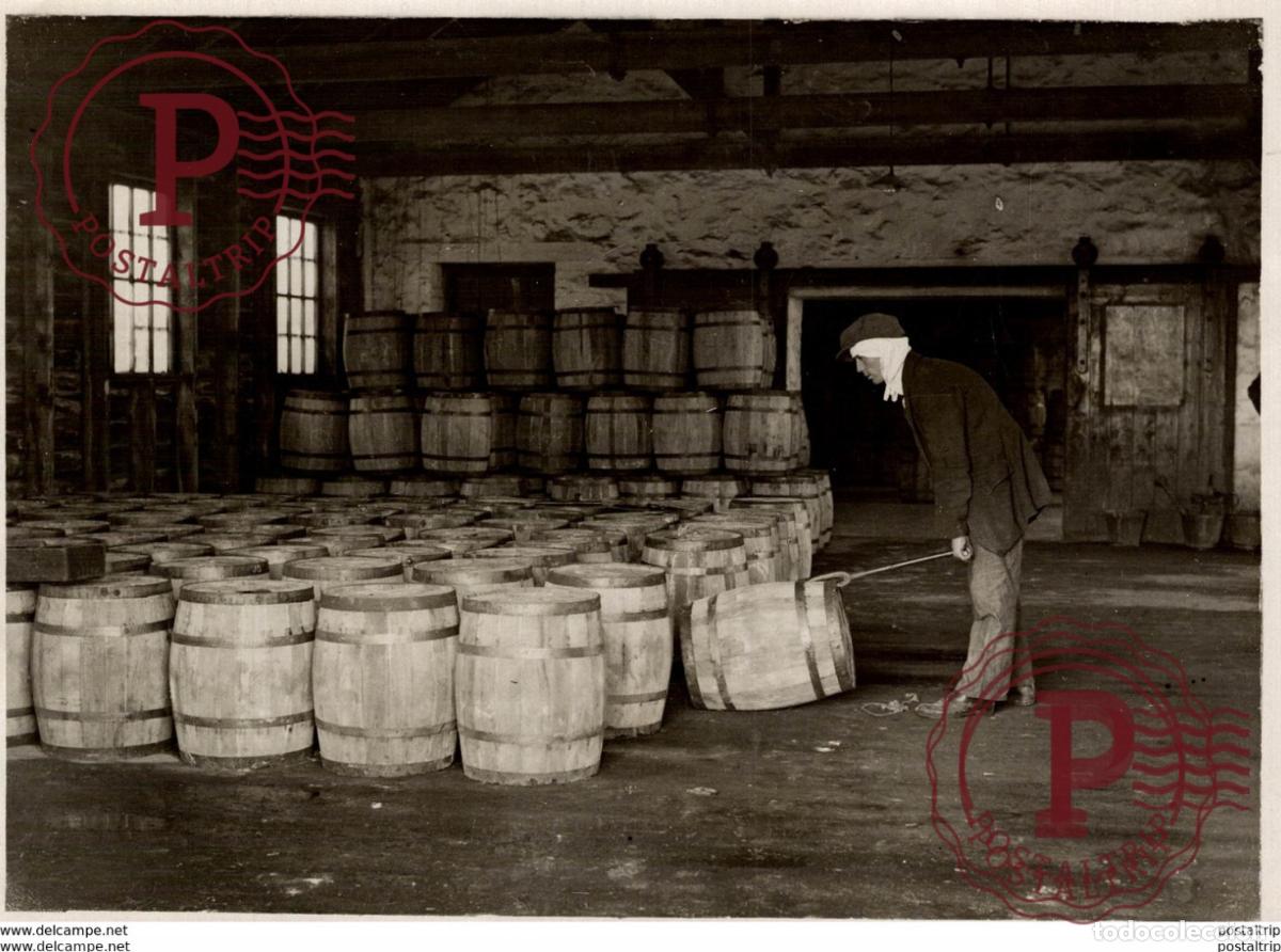 Fotograf&iacute;a antigua: ARSENIC MINES MINE MINING MINAS 20*15CM Fonds Victor FORBIN 1864-1947